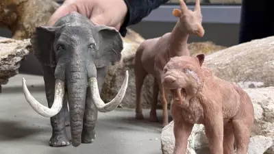 Kayseri'de 7.7 Milyon Yıllık Dev Hayvan Fosilleri Minyatürleştiriliyor