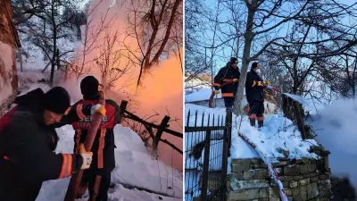 Kütahya'da Ahır Yangını: 9 Büyükbaş Hayvan Can Verdi