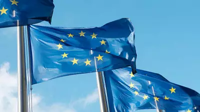 Macaristan, AB'nin Venezuela Askeri Müdahale Açıklamasına İmza Atmadı