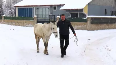 Muşlu Sanatçı Önder Elaraslan, Kışın Terk Edilen At ve Eşekleri Kurtarıyor