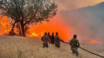 OGM 2026'da 19,8 Milyar Lira ile Ormanlara Güç Katıyor