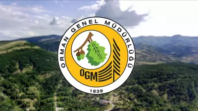 OGM 496 Sözleşmeli Personel Alımı Sonuçları Açıklandı mı? İşte Tarih ve Sorgulama Ekranı