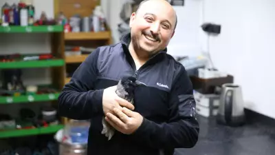 Ordu'da Esnaf ile Yaralı Karga Arasında Beş Aylık Dostluk Hikayesi