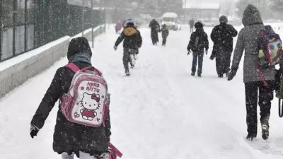 İstanbul'da Kar Tatili: 5 İlçede 2 Ocak'ta Okullar Tatil Edildi