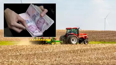 Tarıma 226 Milyon Liralık Destek Ödemesi Bugün Hesaplara Aktarılıyor