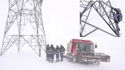 TEİAŞ Ekipleri Erzurum'da -30 Derecede Elektrik Hattı Onarıyor