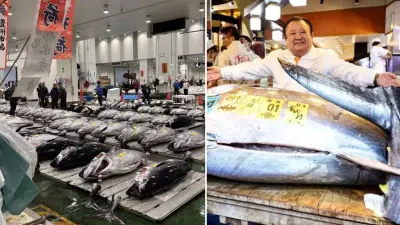 Tokyo'da Rekor: 2,1 Milyon Dolarlık Orkinos Sushi Zanmai'ye Satıldı