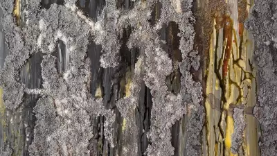 Tuğçe Çalımbay'ın 'HIDDEN' Sergisi Galeri Binyıl'da Sanatseverlerle Buluşuyor