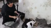 Erzurum'da Derya Çizmeli, Kedi Korkusunu Yenerek Evini Sokak Kedilerine Yuva Yaptı