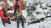 Midyat'ta Çoban ve Sürüsü Kar Fırtınasında Mahsur Kaldı, Ekipler Zorlu Kurtarma Operasyonu Gerçekleştirdi