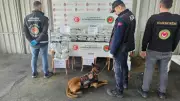 İskenderun Limanı'nda Tarihi Uyuşturucu Operasyonu: 1.4 Milyon Hap Ele Geçirildi