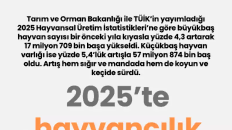 2025 Hayvancılık İstatistikleri Açıklandı: Büyükbaş ve Küçükbaş Sayısında Kayda Değer Artış