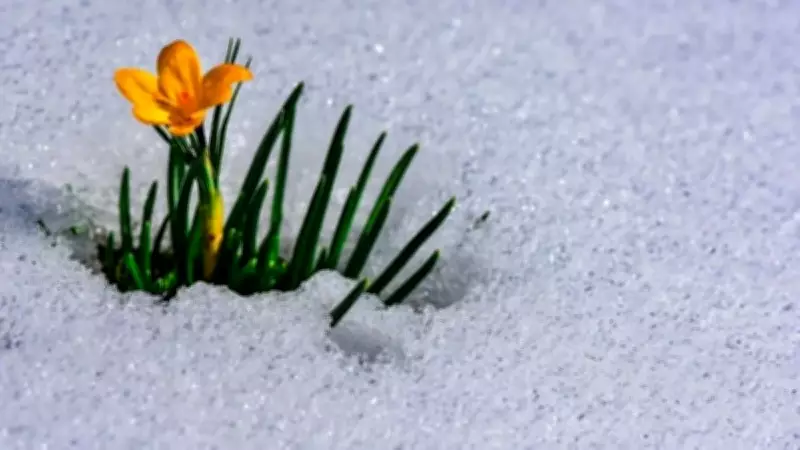 2026 Cemre Düşme Takvimi: İkinci Cemre Ne Zaman Suya Düşecek?