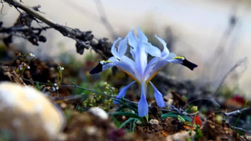 2026 Cemre Düşme Tarihleri Açıklandı: Havaya, Suya ve Toprağa Ne Zaman Düşecek?