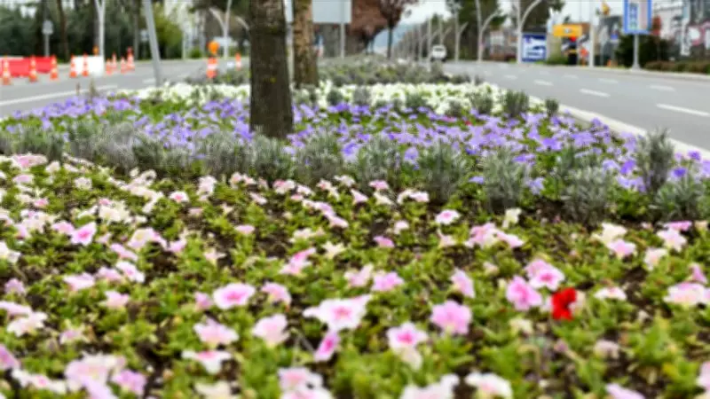 2026 Cemre Düşme Tarihleri Açıklandı: İlk Cemre Ne Zaman Havaya Düşecek?