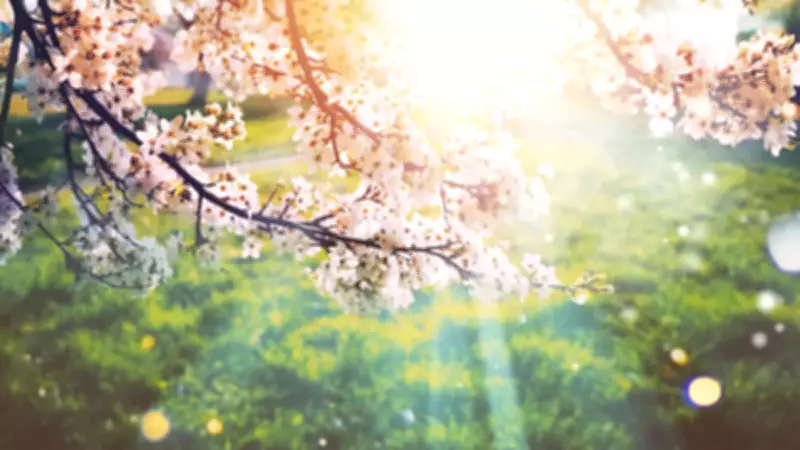 2026 Cemre Tarihleri Açıklandı: Baharın Müjdecisi Ne Zaman Düşecek?