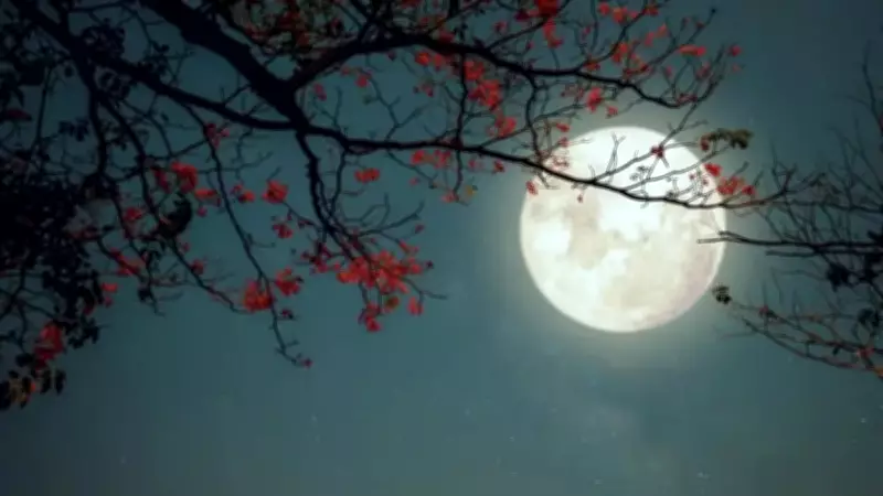 2026 Mart Dolunayı Tarihi Belli Oldu: Gökyüzü Gözlemcileri ve Astroloji Meraklıları İçin Önemli An