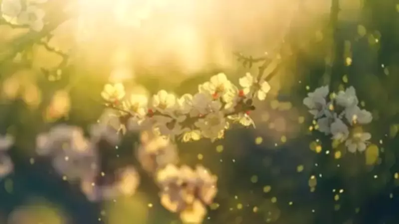 2026'da İkinci Cemre Ne Zaman Düşecek? Baharın Müjdecisi Suya İniyor