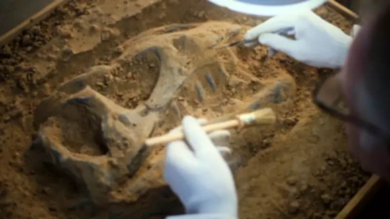 95 Milyon Yıllık Gizem Çözüldü: Afrika'da Dev Dinozor Türü Keşfedildi