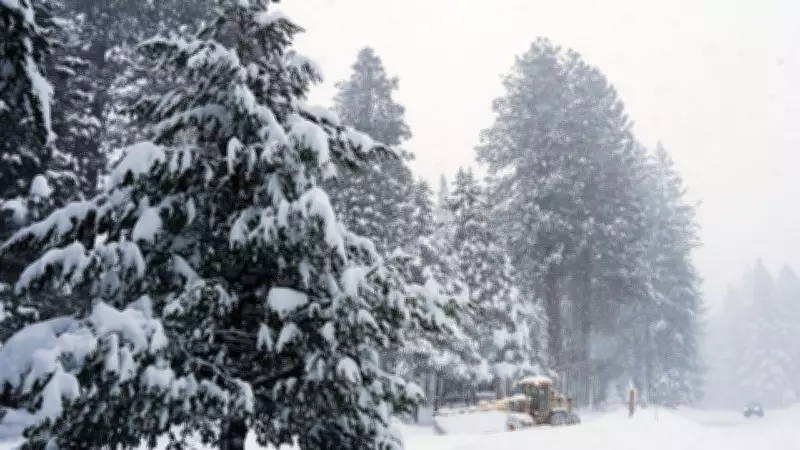 ABD'nin California Eyaletinde Çığ Faciası: 16 Kayakçı Kayıp, 6'sı Kurtarıldı