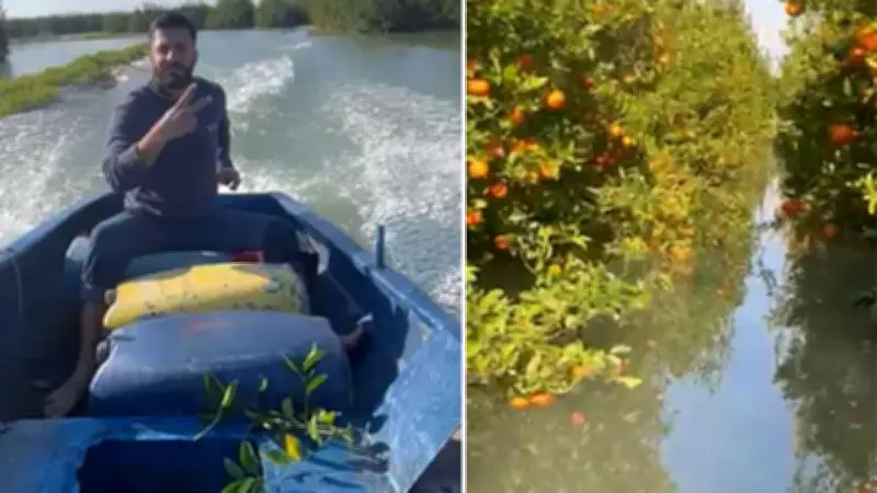 Adana'da Felaket: Narenciye Bahçeleri Sular Altında, Çiftçi Kayıkla Ulaştı