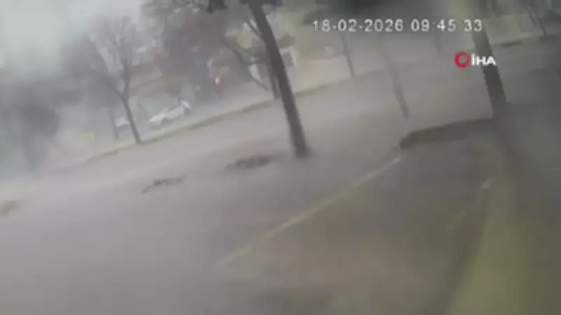Adana'da Fırtına Dev Ağaçları Kökünden Söktü: Güvenlik Kamerası O Anları Kaydetti