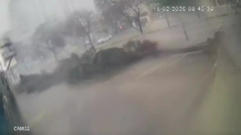 Adana'da Şiddetli Fırtına Dev Ağaçları Kökünden Söktü, Anlar Kamerada