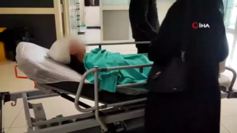 Adana'da Sokak Köpekleri Genç Kızın Kafa Derisini 20 Santim Parçaladı