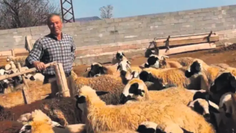 Aksaraylı Çoban Çiftin Gurur Veren Başarı Hikayesi: 4 Çocuktan 2'si Hakim, 1'i Avukat, 1'i Hemşire