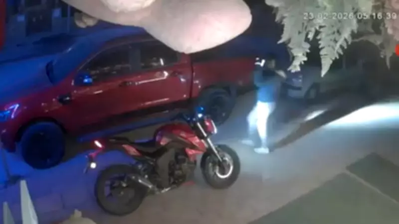 Alanya'da Market Önündeki Pelüş Ayıcık Çalındı: Kameralara Yansıdı