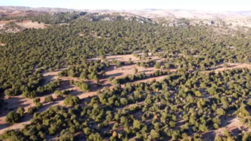 Amazon ve UNDP'den Deprem Bölgesine 1,5 Milyon Euro'luk Doğa Restorasyon Desteği