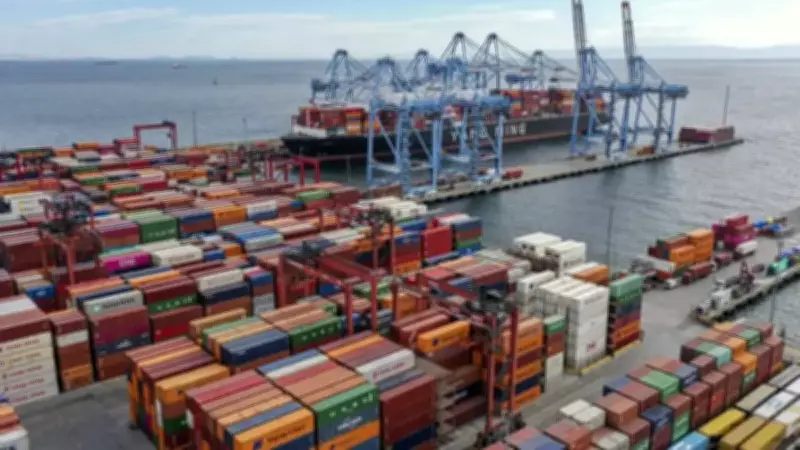 Ambarlı Limanı'nda Dev Uyuşturucu Operasyonu: 14 Milyar TL'lik Kokain Balık Ununa Emdirilmiş