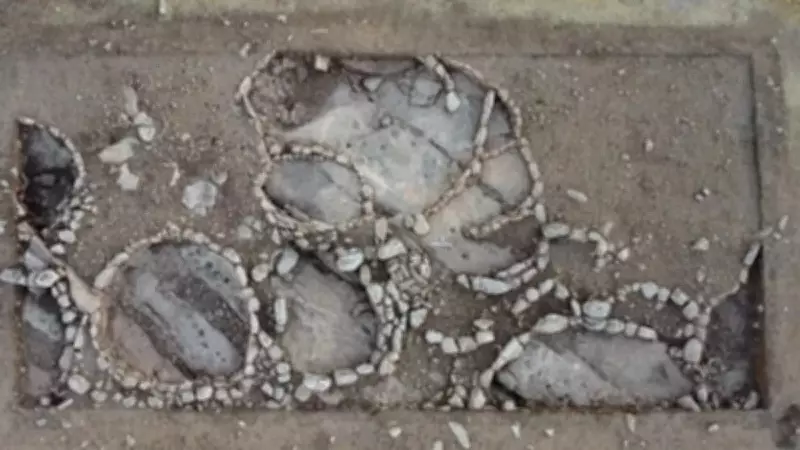 Şanlıurfa'da Göbeklitepe'den 1000 Yıl Daha Eski Yerleşim Keşfedildi: Çakmaktepe