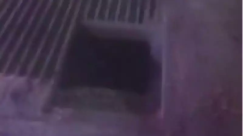 Şanlıurfa'da Mısır Silolarında Yaşanan İş Kazası: İşçi Hayatını Kaybetti