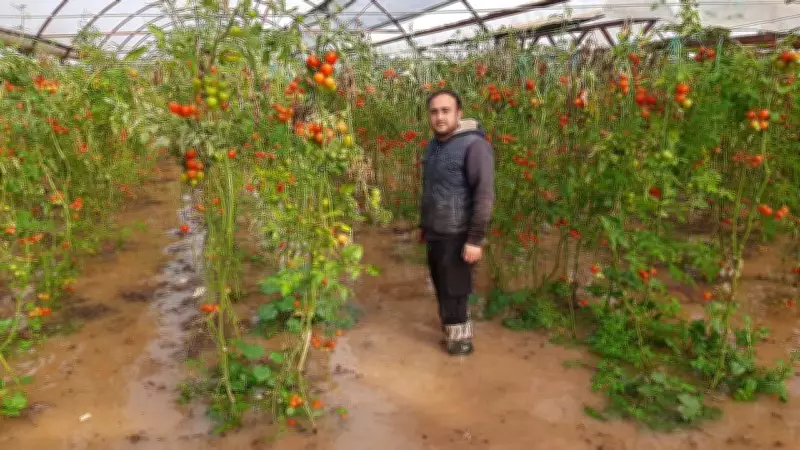 Antalya'da Fırtına, Hortum ve Sel Felaketinin Maddi Zararı 3 Milyar TL'yi Bulacak