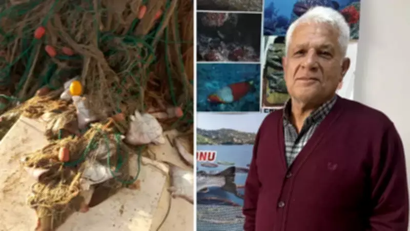 Antalya'da Kritik Seviyedeki Boğa Vatozu Sürüsü Bilim Dünyasına Sunulacak