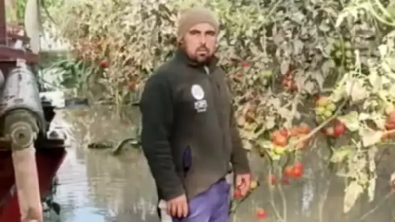 Antalya'da Sel Felaketi: Barajlar Taştı, Seralar Sular Altında Kaldı