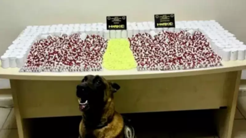 Artvin'de Büyük Uyuşturucu Operasyonu: 986 Ecstasy Hapı Ele Geçirildi