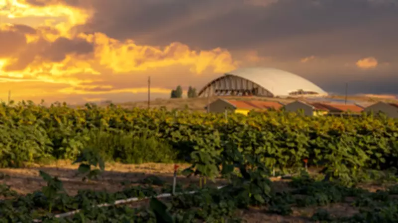 Çatalhöyük'ün 9400 Yıllık Sırrı: Kapısız Evlerin Akıl Almaz Nedeni