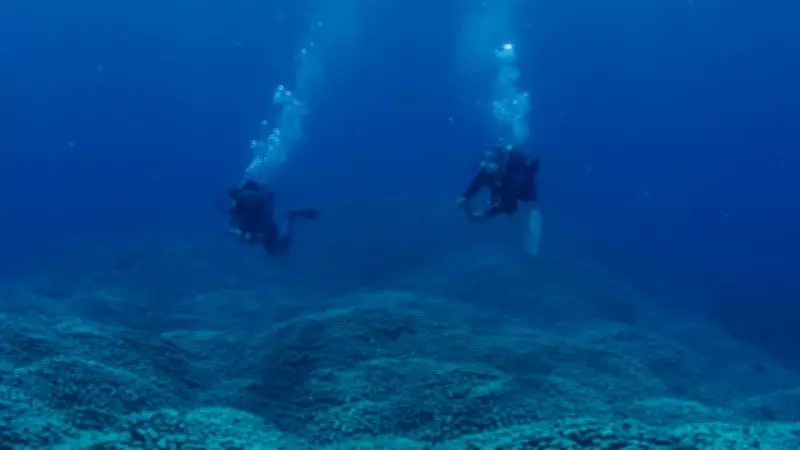 Avustralya'da Dev Mercan Kolonisi Keşfedildi: Futbol Sahası Büyüklüğünde
