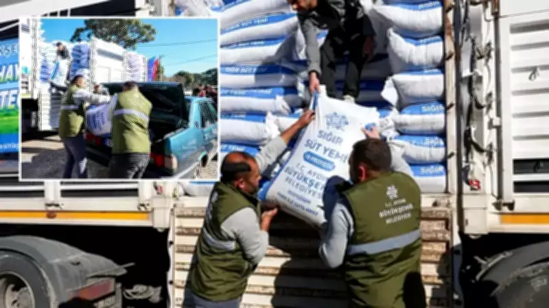 Aydın'da Üreticilere Yem Desteği: Bozdoğan'a Sığır Yemi Dağıtımı Yapıldı