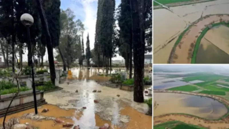Aydın'da Sağanak ve Taşkın: Büyük Menderes Nehri Taştı, Yollar Kapandı