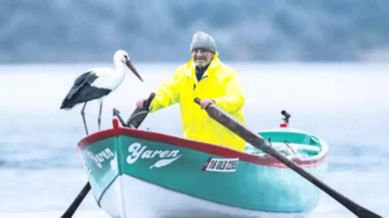 Balıkçı Adem, 15 Yıldır Gelen Leylek Dostu Yaren'e Kavuştu