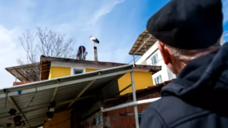 Balıkçı Adem Amca'nın Dostu Yaren Leylek'i Bekleyişi: Eşi Nazlı Rekor Kırdı