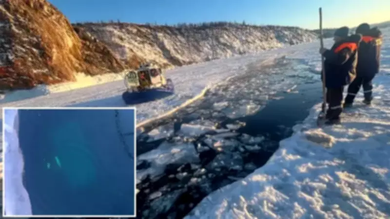 Baykal Gölü'nde Buz Kırıldı: Çinli Turistlerin Bulunduğu Araç Batağa Gömüldü, 8 Ölü