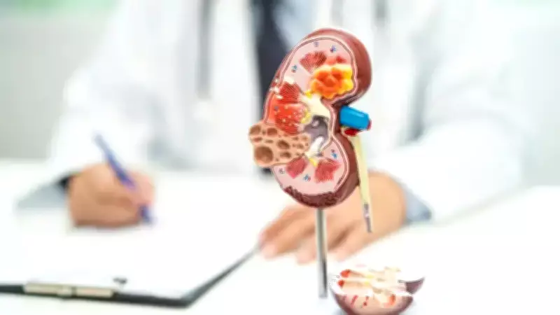 Böbrek Hastalarında Kişiye Özel Beslenme Planı Hayati Önem Taşıyor