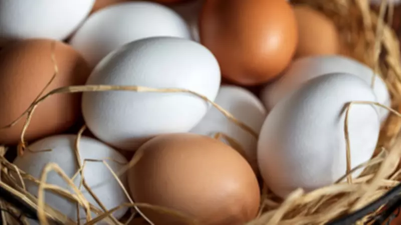 Beyaz ve Kahverengi Yumurta Arasındaki Gerçek Farklar: Sağlık Açısından Etkisi Var mı?