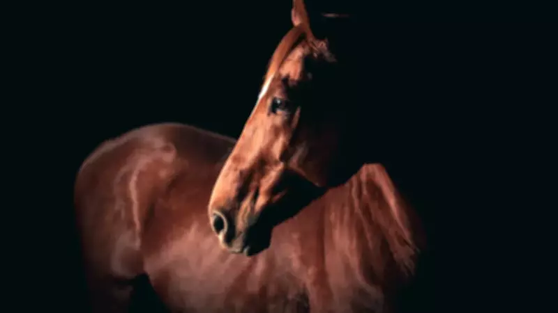 Bilim Dünyasını Şaşırtan Keşif: Atlar Gırtlaklarıyla İki Sesli 'Beste' Yapıyor