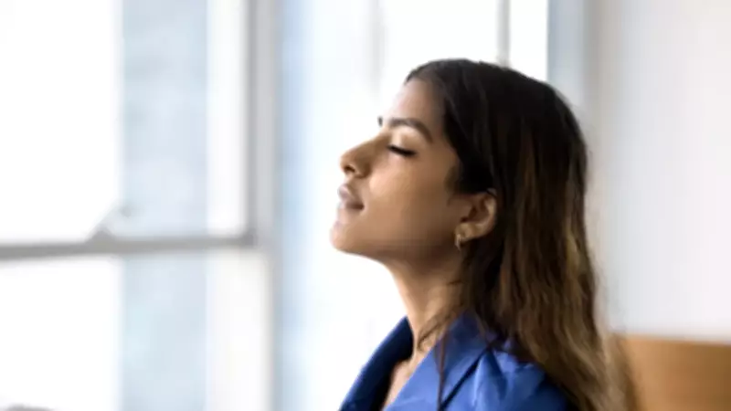 Bilim İnsanları Açıkladı: Barış Çiçeği Ev Hava Kalitesini Artırıyor