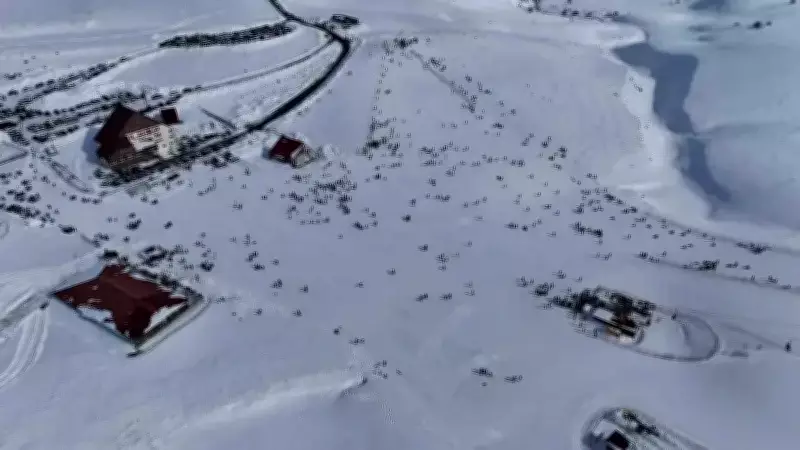 Bingöl Hesarek Kayak Merkezi'nde Çarpışma: 6 Kişi Yaralandı